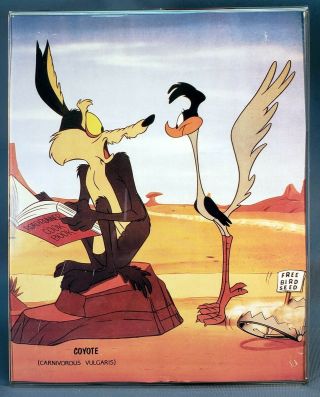 Vintage Wiley Coyote (& Road Runner) 8 X 10 " Wall Art With Acrylic Frame
