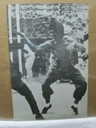 Bruce Lee Karate Kung Fu Master Vintage Poster 1970 