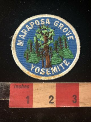 Vintage Maraposa Grove Yosemite National Park California Patch 99j3