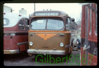 Inter City Bus Lines (nj) Bus Slide Brill Taken 1972