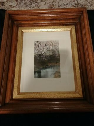 Wallace Nutting Hand Tint Photograph - Cherry Blossoms Over Stream - Signed