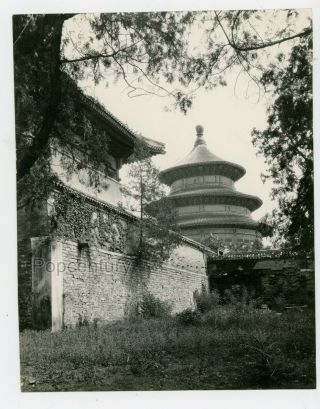 Vintage Photograph 1940 China Peking Temple Of Heaven View Large Photo Beijing
