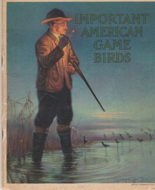 Rare 1917 Antique Hunting Book " Important American Game Birds "
