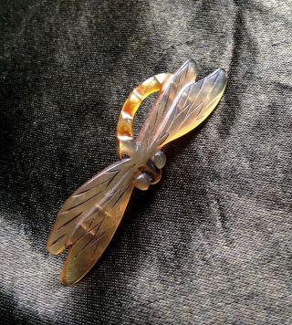 Rare Antique Fine French Art Nouveau Deco Carved Horn Dragonfly Insect Brooch