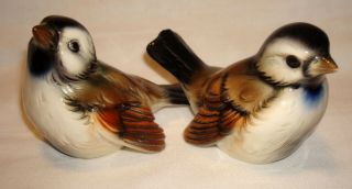 2 Vintage Goebel W Germany Cv 72 & 73 Chickadee Sparrow Bird Figurines Statues