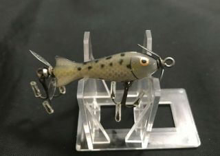 Vintage Heddon Tiny Spook 310 Cra {htf} W/ Gold Eye Fishing Lure