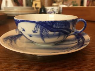 Vintage Japanese Or Chinese Porcelain Cup & Saucer,  Hand Painted,