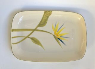 Vintage Winfield China Bird Of Paradise Vegetable Plate Serving Platter 11 " X 8 "