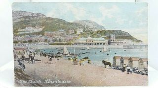 Vintage Antique Postcard The Beach Llandudno Evans Bathing Huts And Horse C1905