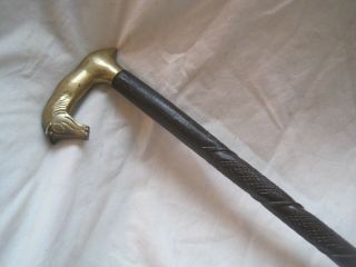 Wooden Walking Stick Cane With Horse Head Handle In Solid Brass Vintage Ebony