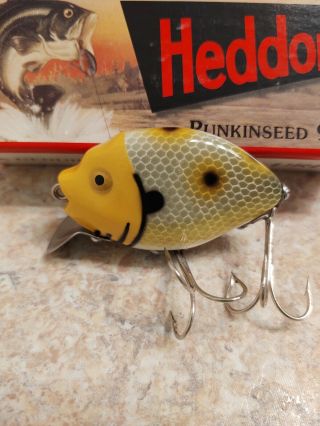 HEDDON PUMPKIN SEED 9630 SPECIAL ORDER COLORS fishing lure BOX RARE GOLD EYES 