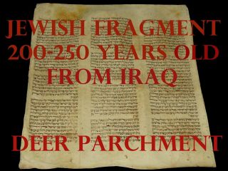 Rare Torah Bible Scroll Manuscript Vellum Fragment 200 Years Old From Iraq