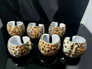 Vintage Tiger Cowrie Sea Shell Napkin Rings Holders Set 6 Spotted Philippines