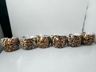 Vintage Tiger Cowrie Sea Shell Napkin Rings Holders Set 6 Spotted Philippines 2