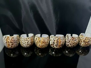 Vintage Tiger Cowrie Sea Shell Napkin Rings Holders Set 6 Spotted Philippines 3