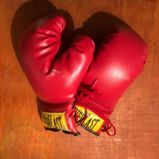 Vintage Everlast Boxing Gloves 2922 - Mancave Decor