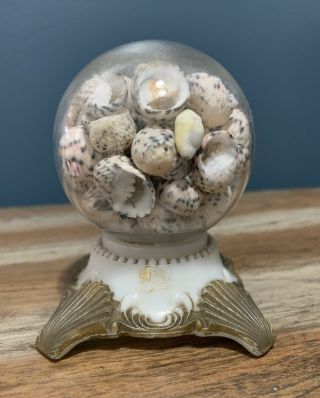 Antique Victorian Milk Glass & Gold Seashell Viewing Globe Paperweight Souvenir