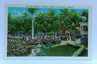 Palm Beach Florida Tea Garden Coconut Grove Vintage Postcard