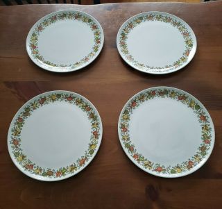 Vintage Centura By Corning Spice Of Life 10 Inch Dinner Plates (set Of 4)