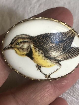 Vintage Hand Painted Porcelain Ceramic Oval Yellow Bird Brooch Scarf Lapel Pin