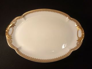 Antique Vintage Haviland Limoges Tray Serving Platter Porcelain France China