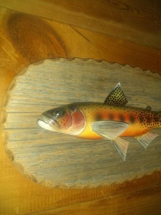 Fish Spearing Decoy/fish Plaque " Golden Trout " Listed Carver