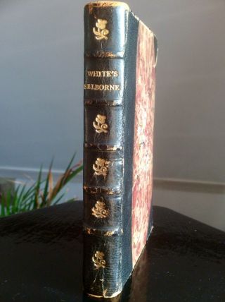 Antique Rare Georgian 1829 Book,  White’s Natural History Of Selborne,  Leather,  Old