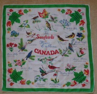 Vintage Canada Souvenir " Silk " Scarf,  Songbirds And Flower Emblems,  27 " X 27 "