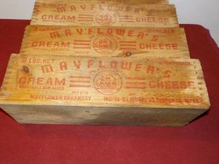 4 Vintage Wooden MAYFLOWER ' S Cream Cheese BOXES Mayflower Creamery Boston Mass 2