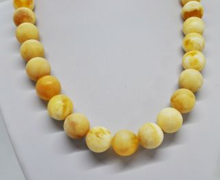 76.  30g 33bead Antique Formed White Boney Baltic Amber Butterscotch Bead Necklace