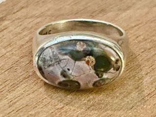 Vintage Navajo Sterling Silver Petrified Wood Ring Size 7,  6g Signed Peyote Bird