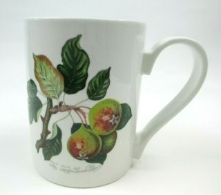 Vintage Portmeirion POMONA The Goddess of Fruit Mug England Teinton Squash Pear 2