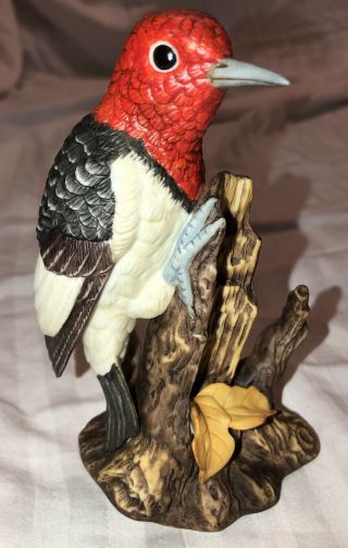 Vtg Red Headed Woodpecker John James Audubon Porcelain Figurine