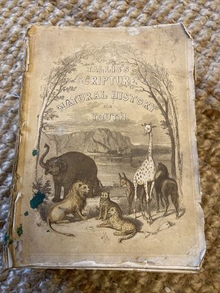 Antique Natural History Book W.  I Bicknell John Tallis 1851 Hundreds Of Prints