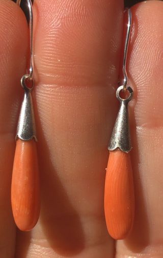 Antique Vintage Estate Victorian Coral Drops Earrings Carved Undyed Sterling 925