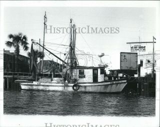 Vintage Photos Shrimp Boat In Apalachicola Florida10x8