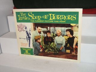 Vintage Little Shop Of Horrors Lobby Card 5 1960 Release
