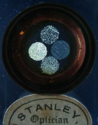 Antique Microscope Slide.  C.  V.  Smith.  Leaves.  Group Of Four Varieties,  Crystals.