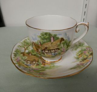 Vintage Roslyn " Wayside " 8745 Fine China Tea Cup And Saucer Set - England
