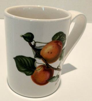 Vintage Portmeirion Pomona Roman Apricot 4 " Tall Tankard/coffee Mug
