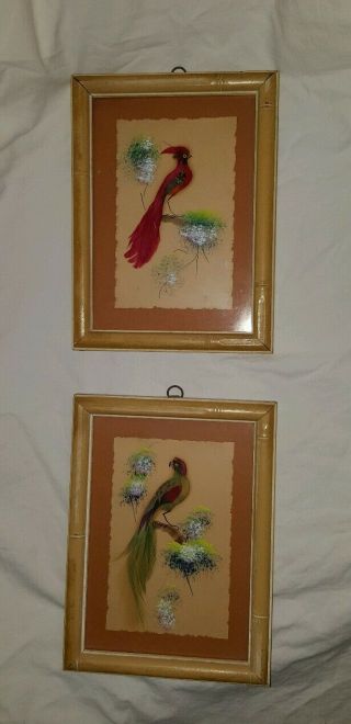 Antique Vintage Framed Art,  Real Bird Feathers Bamboo Oriental