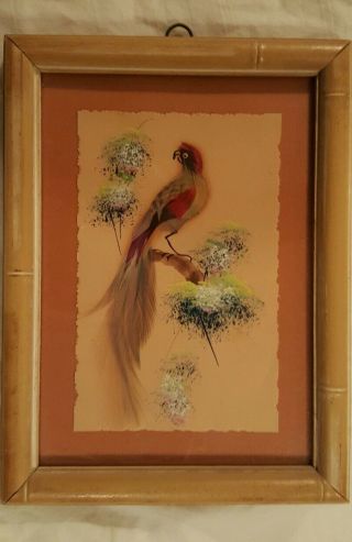 Antique vintage framed art,  real bird feathers bamboo oriental 3