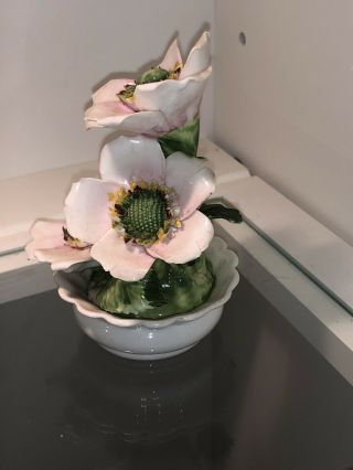 Vintage Radnor Staffordshire Hand Made Bone China Flower Bouquet in Vase 3