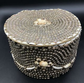 Vintage Fine Antique Folk Art Americana Shell Sailor Jewelry Box Fabric Lined