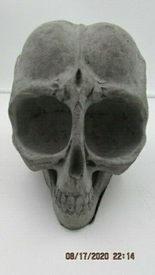 Vintage Concrete Alien Skull Head Sculpture Art 8 1/2 Lbs.  Ufo E.  T.