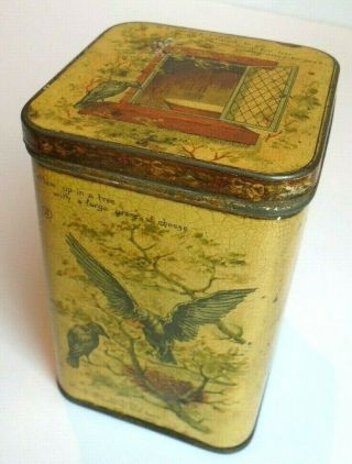 Antique Victorian Carr & Co Juvenile Box Biscuit Tin W Animals Birds & Foxes 1