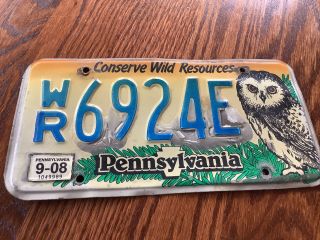Vintage Pennsylvania Pa Conserve Wild Resources Owl License Plate Tag