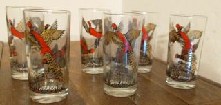 Vintage Set Of 6 Pheasant Hunting Hi - Ball 5&1/2 " Drinking Glasses Hazel Atlas