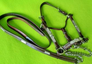 Fancy Top Quality Vintage Silver Horse Show Halter & Lead Yearling Horse Size Nr