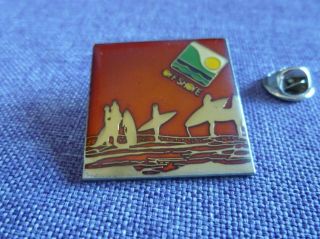 Off Shore Surf Vintage Rare Big Pin 